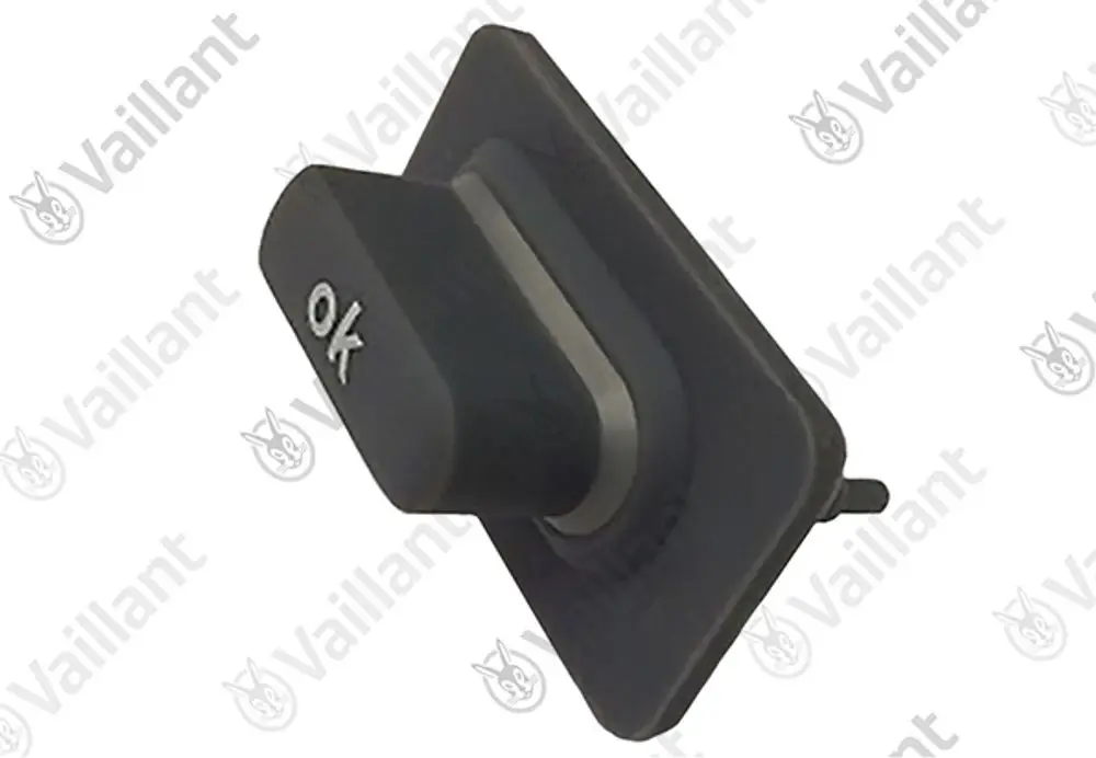 Vaillant-Taster mit der Aufschrift "OK" in Schwarz, montierbar, mit einer rechteckigen Basis und einem zentralen Druckknopf.